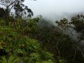 29. November 2011: Mt Kinabalu